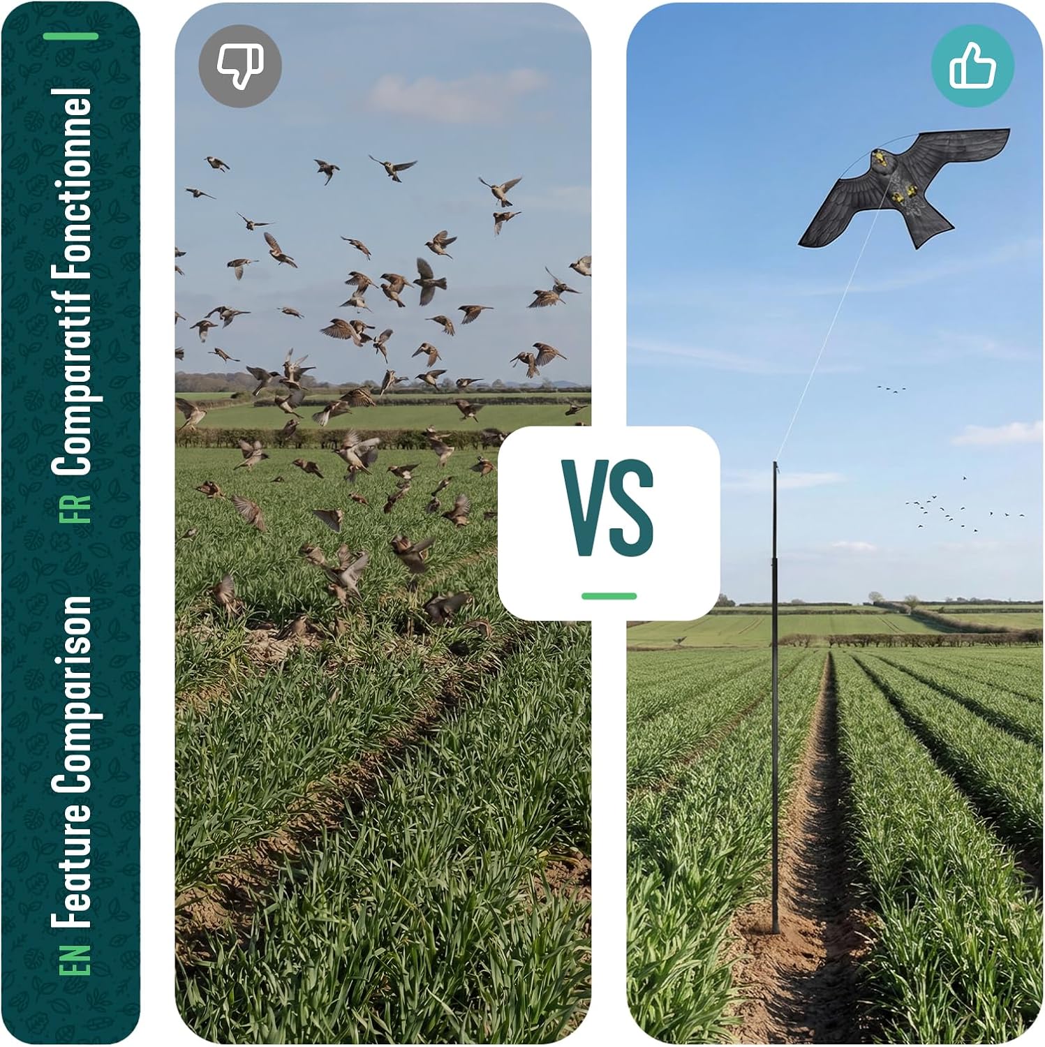 CharJenPro Bird Scarer Kite with 4m Telescopic Pole, Realistic Hawk Bird Deterrent, 2 Interchangeable Kites for Garden, Farm, Allotment, Outdoor Lawn, Model D&G